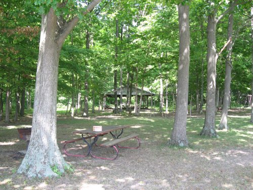 Property photo 27 - 27 Acres offered in 2 Tracts or Combination, Former U.A.W. Hall
